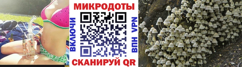 где можно купить   Козельск  Галлюциногенные грибы мицелий 